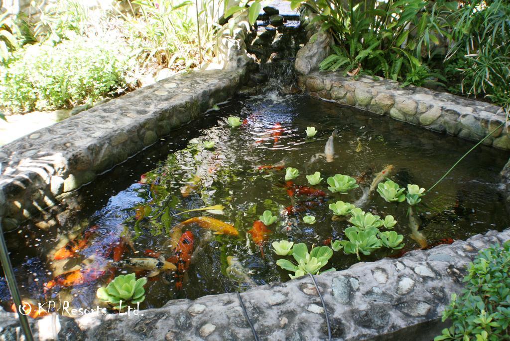 Enchanted Waters Tobago Buccoo Buitenkant foto